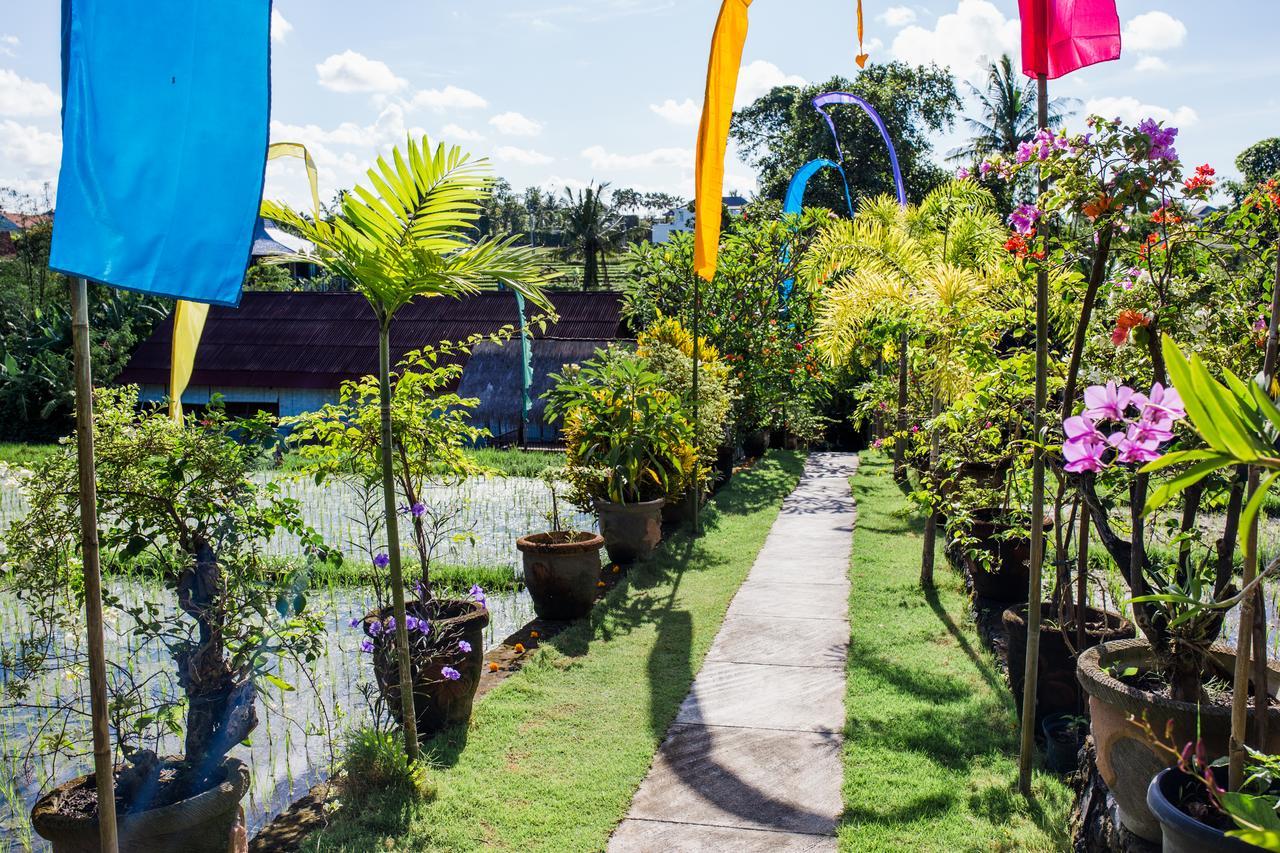 Matra Bali Guesthouse Canggu Buitenkant foto